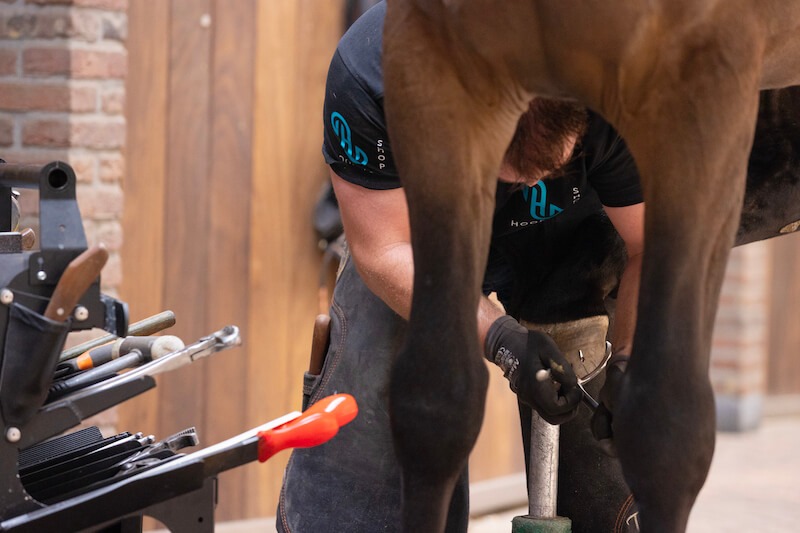 Hoefsmid Thijs Hoefs die een hoefijzer vastzet met nagels bij een paard.